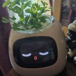 Ivy Smart Planter - The Mindful Plant Pot For A Mindful Home photo review