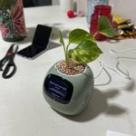 Ivy Smart Planter - The Mindful Plant Pot For A Mindful Home photo review