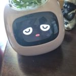 Ivy Smart Planter - The Mindful Plant Pot For A Mindful Home photo review