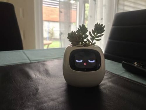 Ivy Smart Planter - The Mindful Plant Pot For A Mindful Home photo review