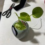 Ivy Smart Planter - The Mindful Plant Pot For A Mindful Home photo review