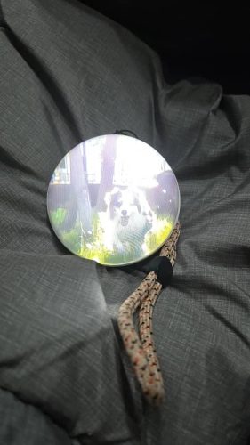 Vixaon CrystalMemo - A Touch Of Memory Captured In Crystal photo review