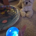 Vixaon CrystalMemo - A Touch Of Memory Captured In Crystal photo review